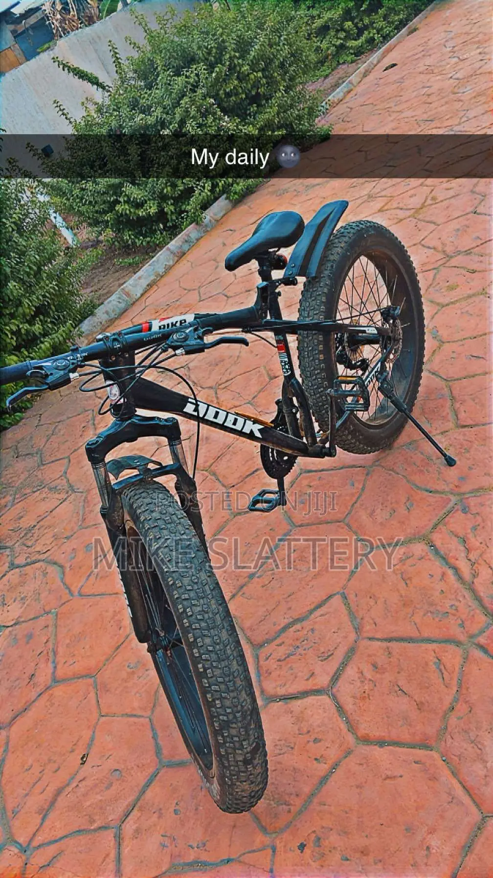 Fat Tire Bike