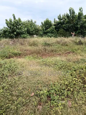 Plot of Land (Koase)