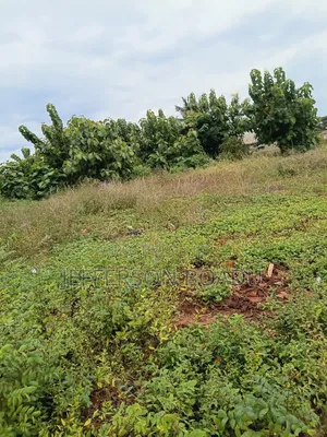 Plot of Land (Koase)