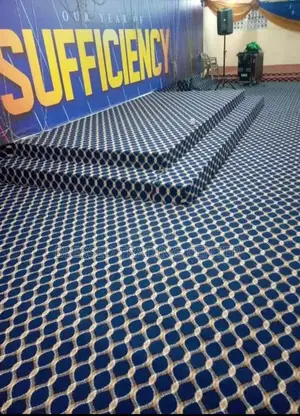 Thick and Quality Carpet for Auditorium