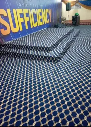 Thick and Quality Carpet for Auditorium