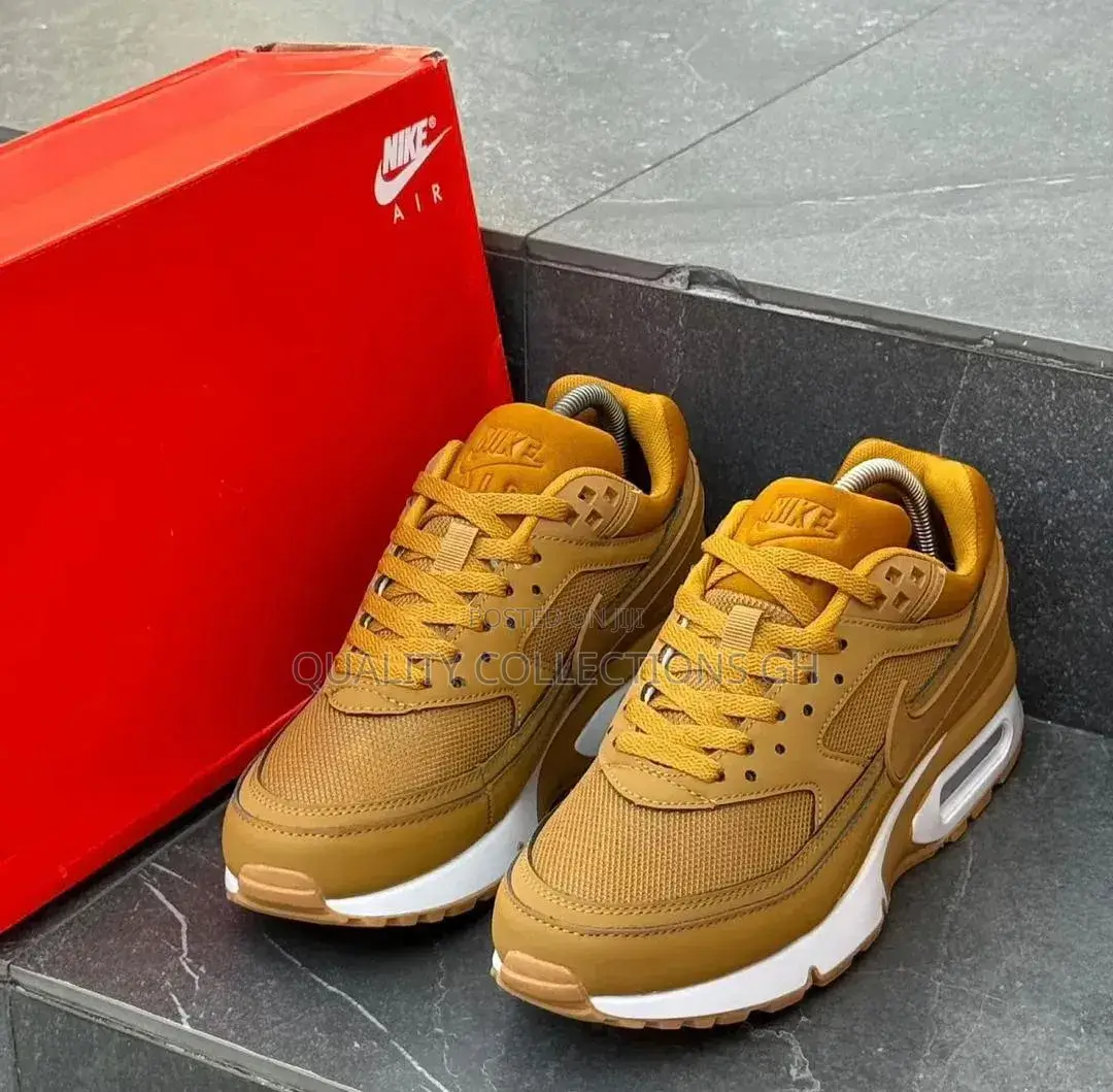 Airmax Bw Flex