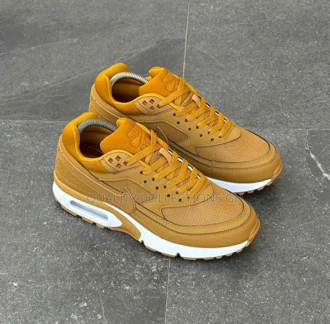 Airmax Bw Flex