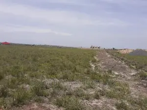 Superior Benefits From Land