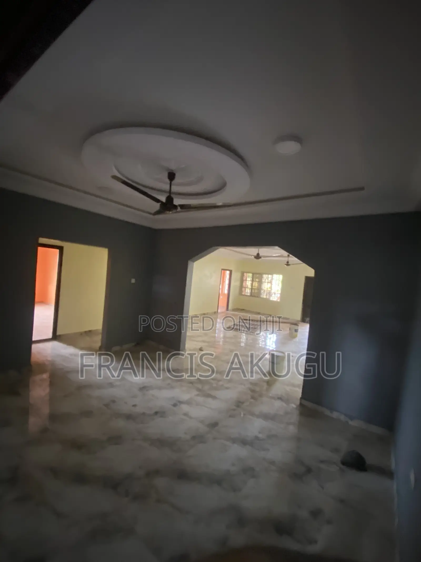 Professional Painter and Graffiato Works