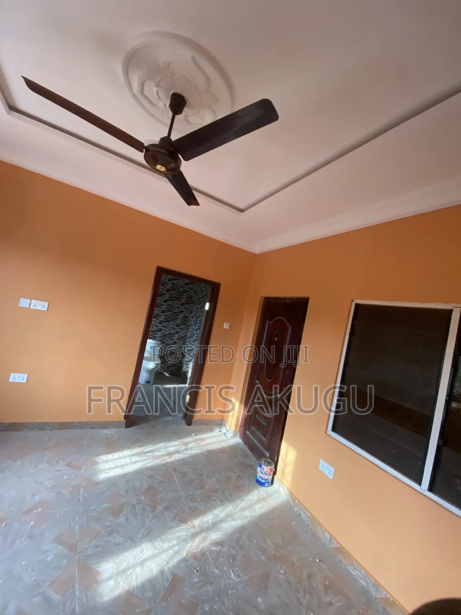 Professional Painter and Graffiato Works