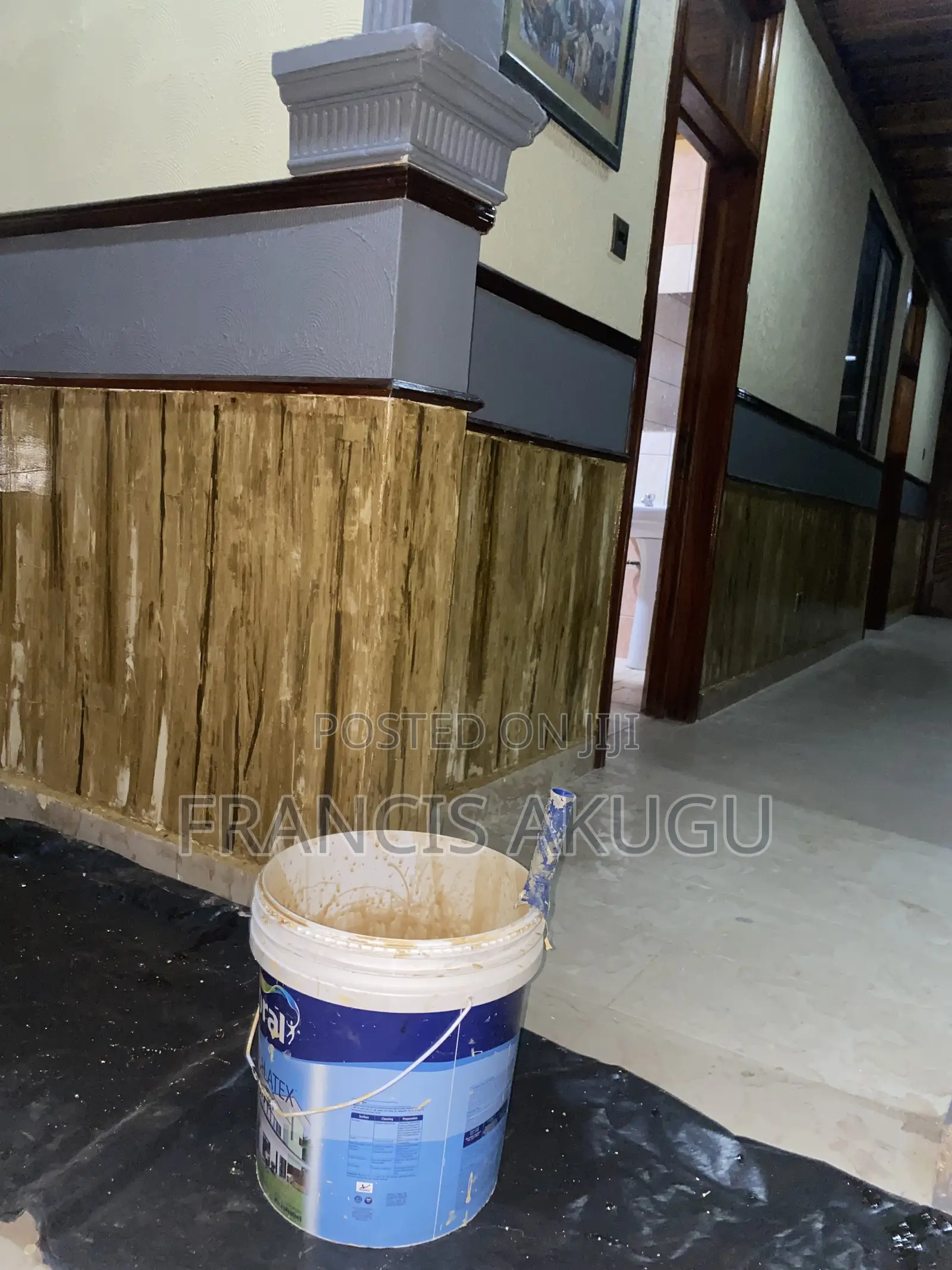 Professional Painter and Graffiato Works