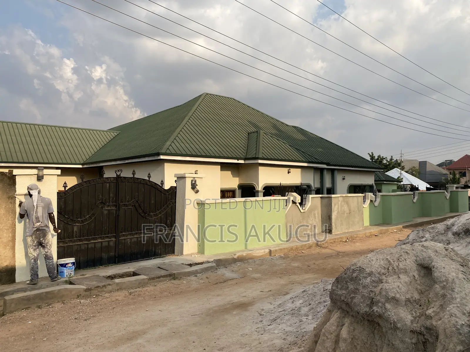 Professional Painter and Graffiato Works