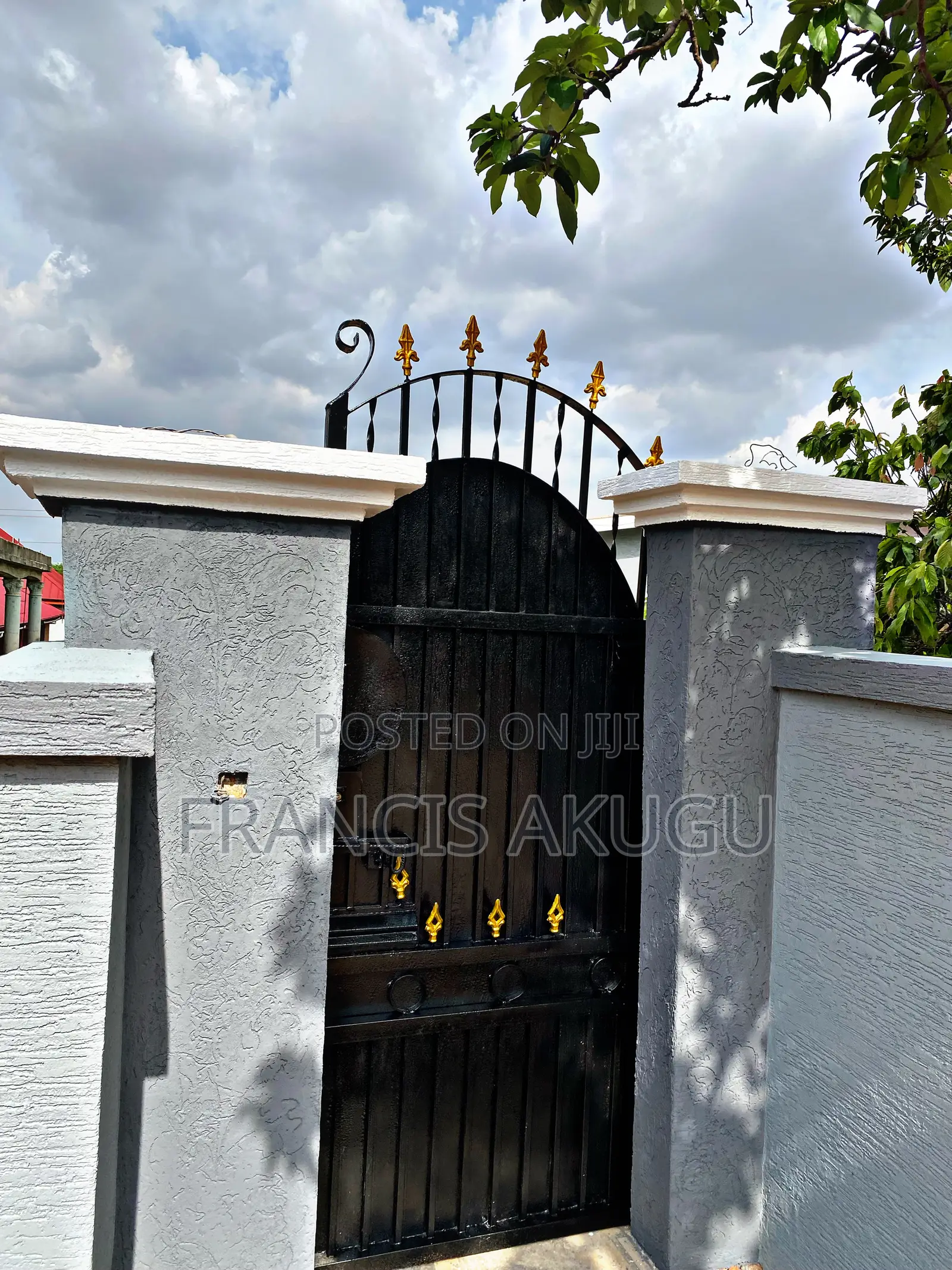 Professional Painter and Graffiato Works