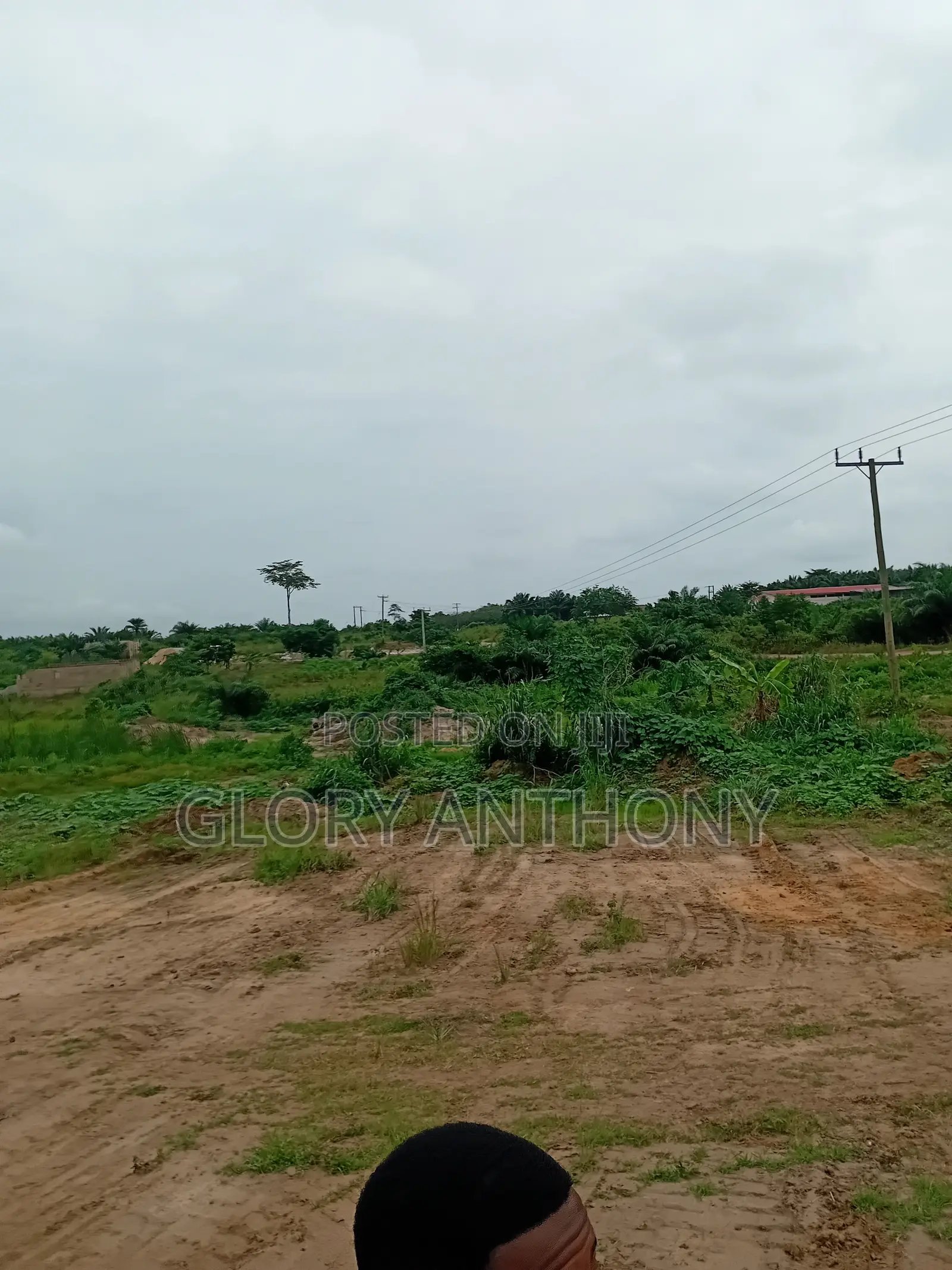 Affordble Titled Lands for Investment Purposes