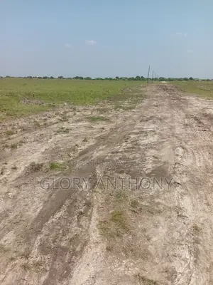 Affordble Titled Lands for Investment Purposes