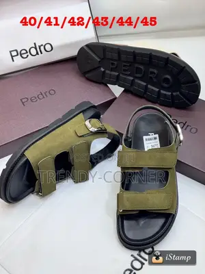 Pedro Men's Icon Slide Sandals