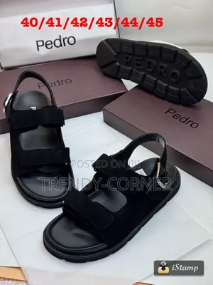 Pedro Men's Icon Slide Sandals