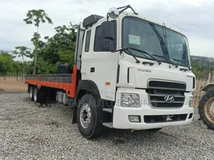 Duoble Axle Truck for Sale