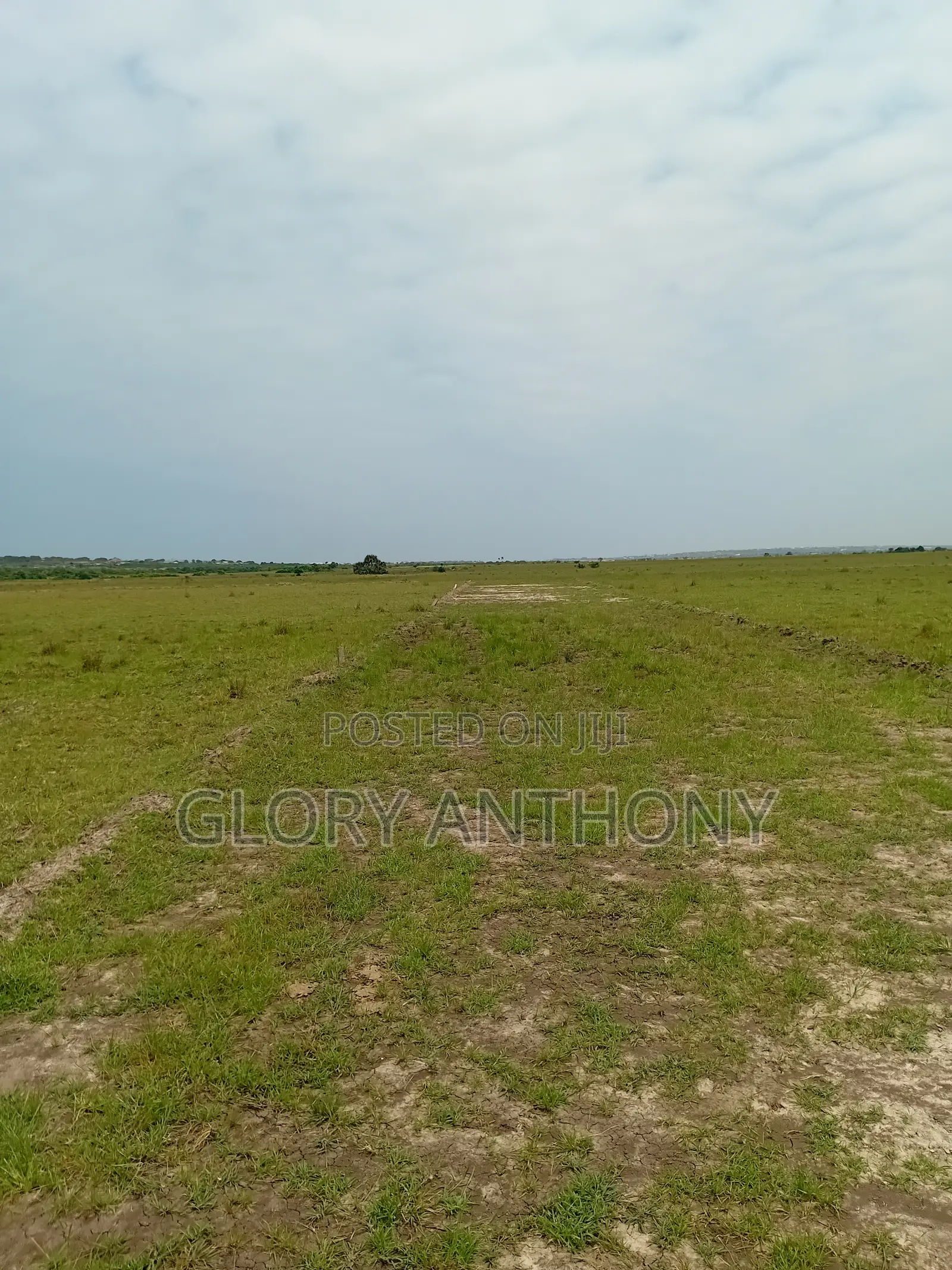 Great Offers on Lands at Palm Hills You Dont Want to Miss