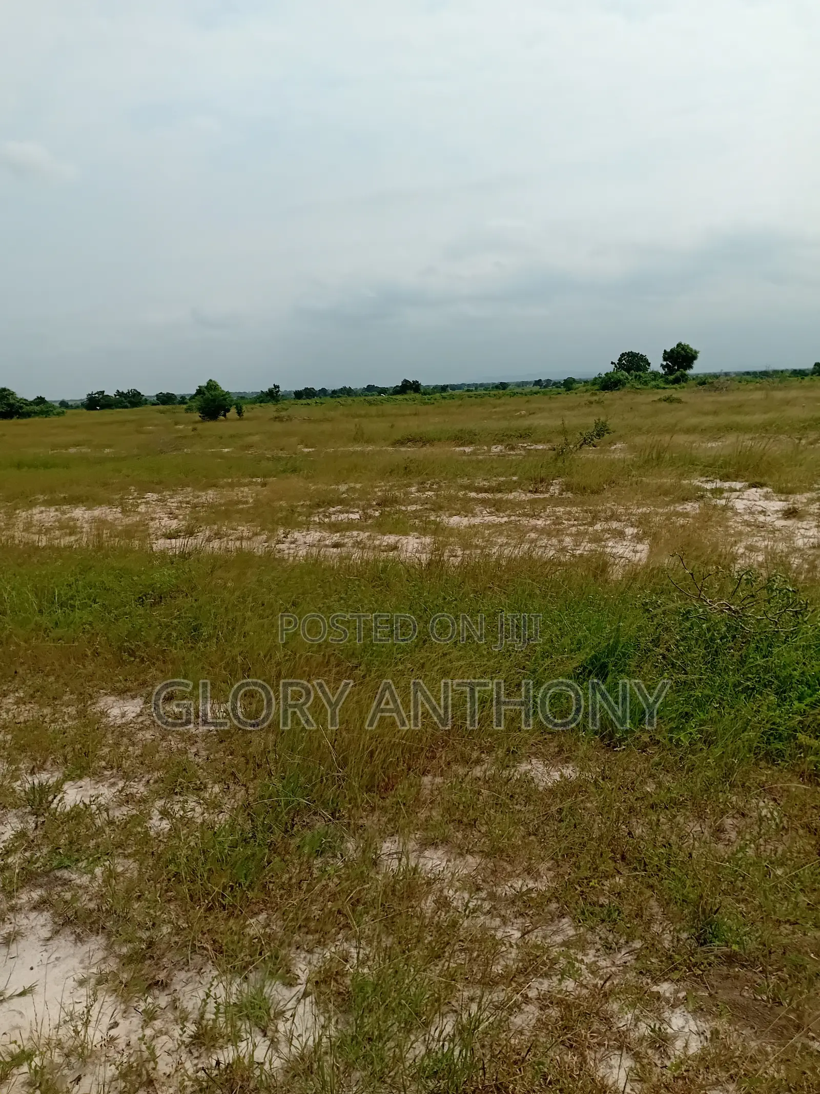 Great Offers on Lands at Palm Hills You Dont Want to Miss