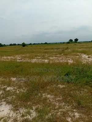 Great Offers on Lands at Palm Hills You Dont Want to Miss