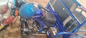Apsonic AP150ZH-20 2024 Blue