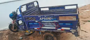 Apsonic AP150ZH-20 2024 Blue