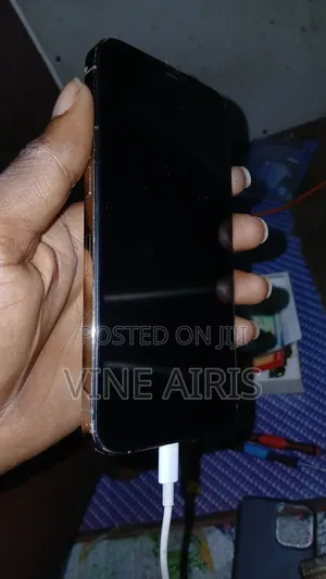 Apple iPhone 12 Pro Max 128 GB Bronze
