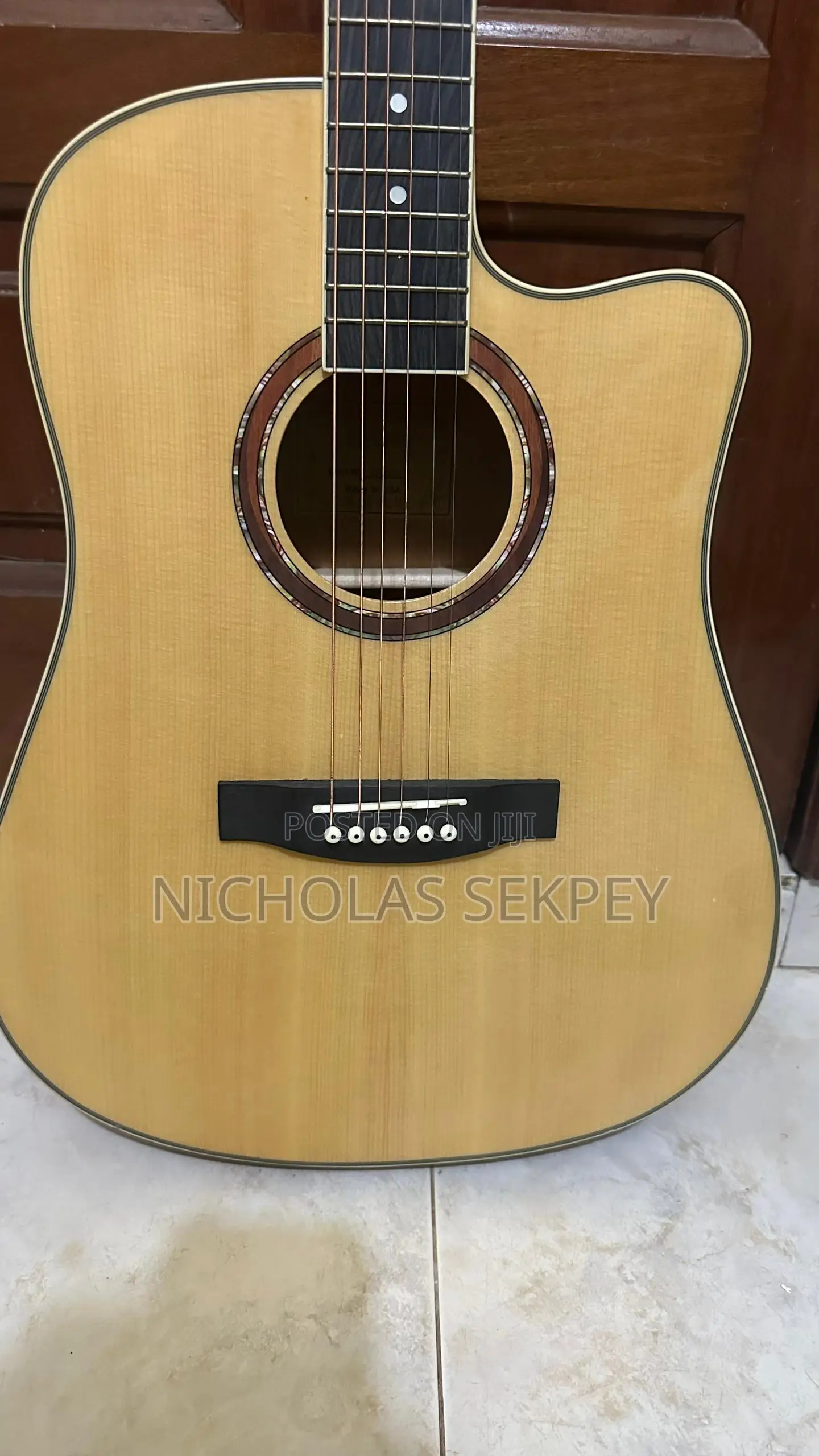 Semi Acoustic Guitar
