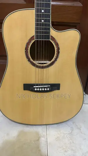 Semi Acoustic Guitar