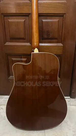 Semi Acoustic Guitar