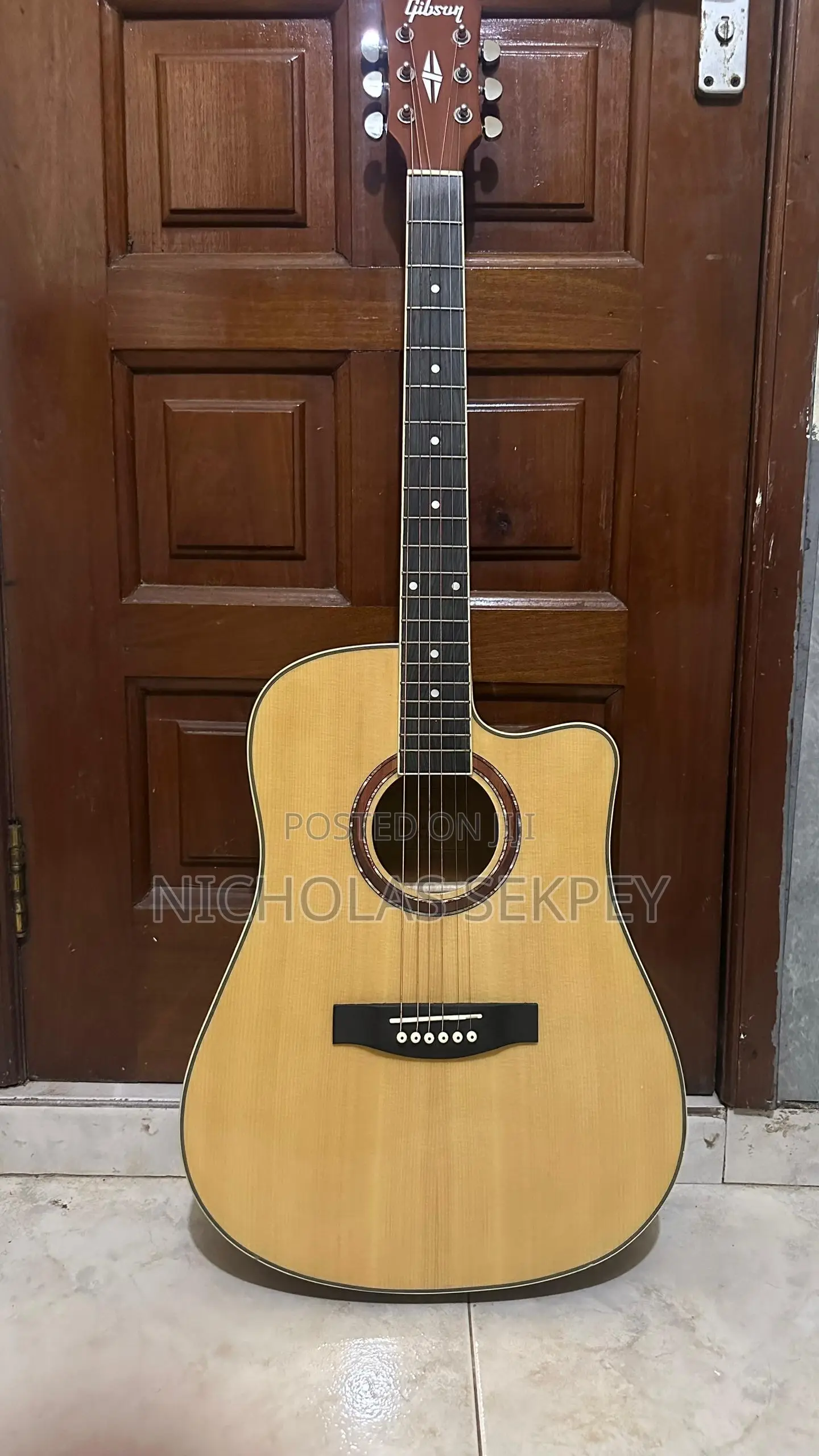 Semi Acoustic Guitar