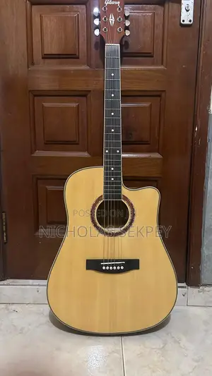 Semi Acoustic Guitar