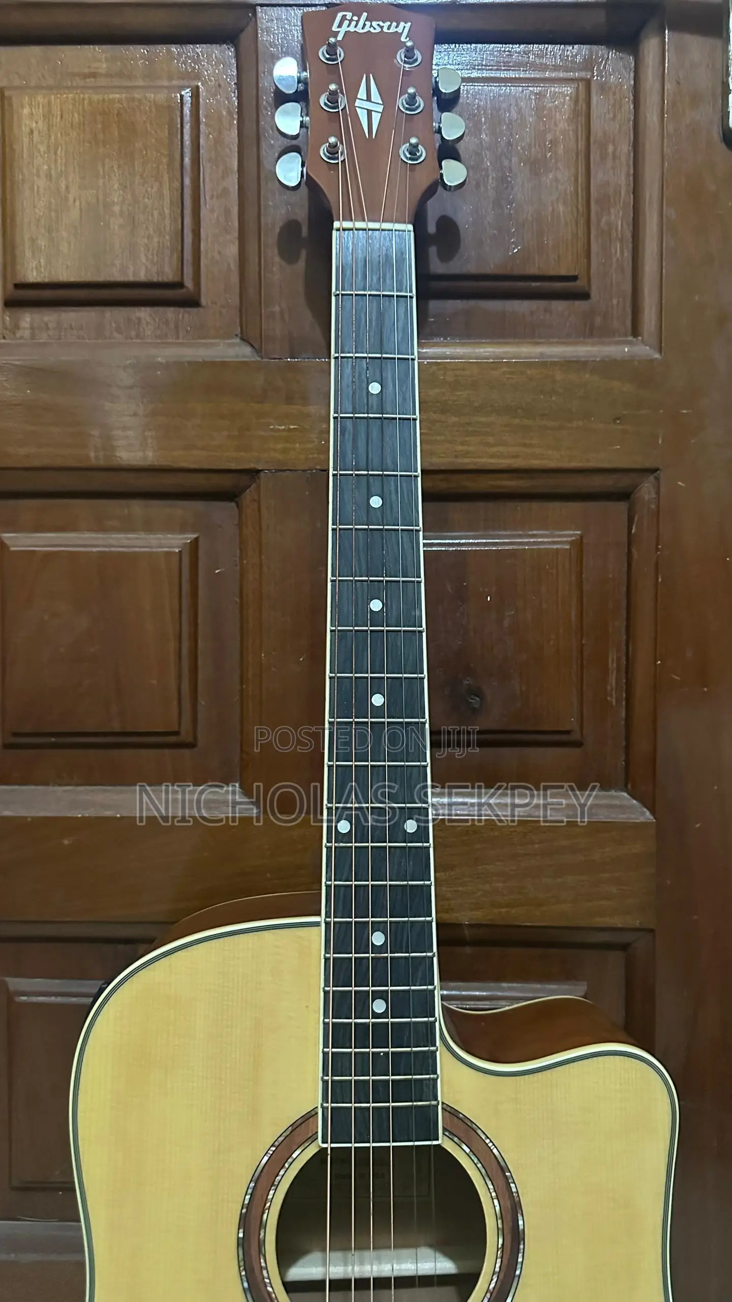 Semi Acoustic Guitar