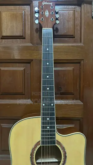Semi Acoustic Guitar