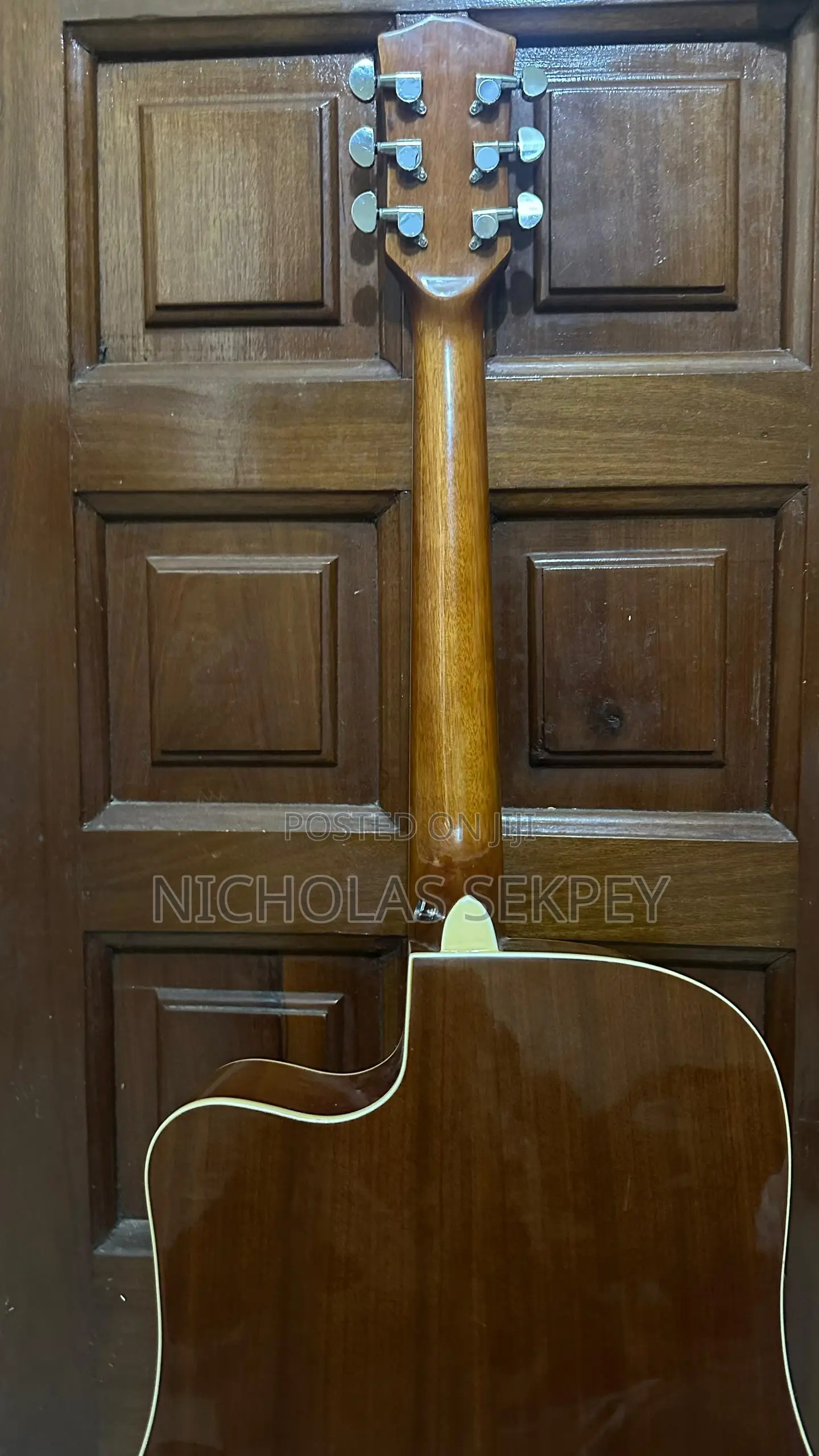 Semi Acoustic Guitar