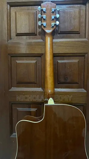 Semi Acoustic Guitar