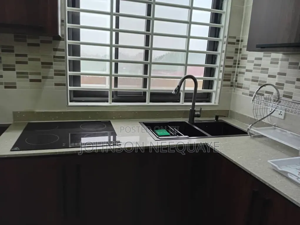 Furnished 1bdrm Apartment in Tseaddo for rent