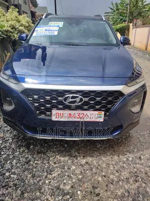 Hyundai Santa Fe 2020 Blue