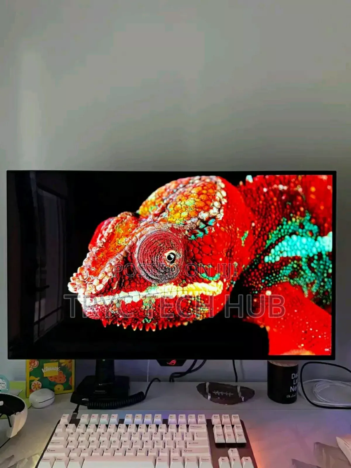 Brand New Asus Oled Monitor