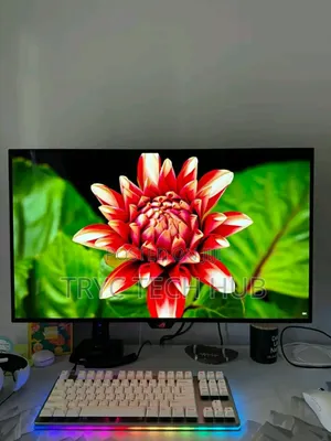 Brand New Asus Oled Monitor