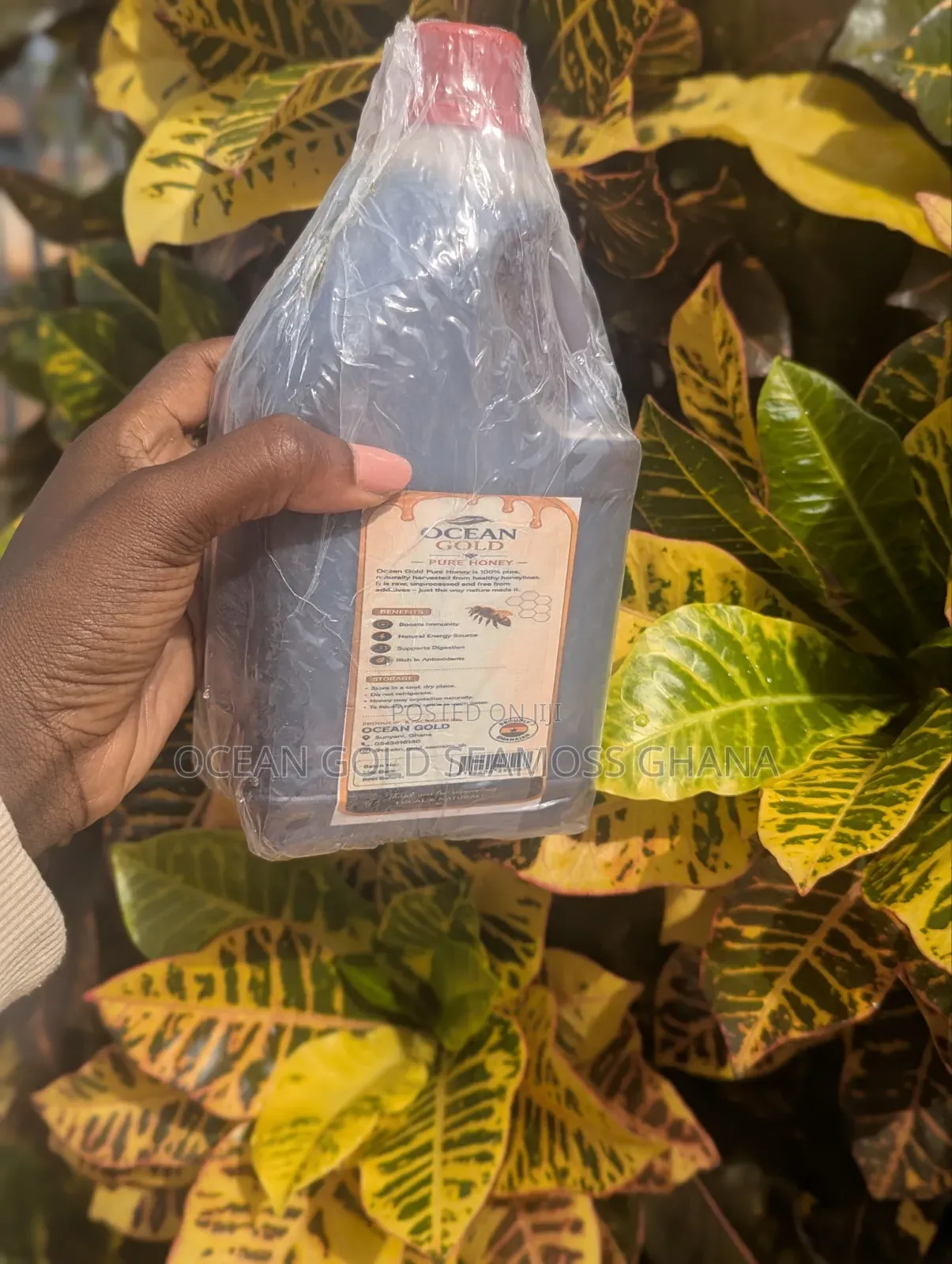 Ocean Gold Pure Honey