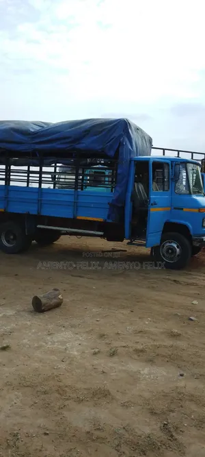 Driving and Loading Goods and Food