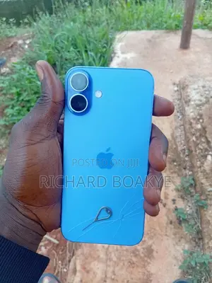 Apple iPhone 16 Plus 256 GB Blue