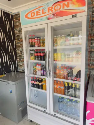 Delron Double Door Display Fridge