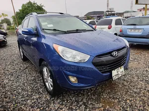 Hyundai Tucson 2013 Blue