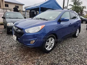 Hyundai Tucson 2013 Blue
