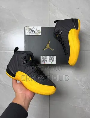Air Jordan Twelve