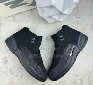 Air Jordan Twelve