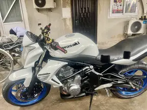 Kawasaki Ninja 650 2016 White