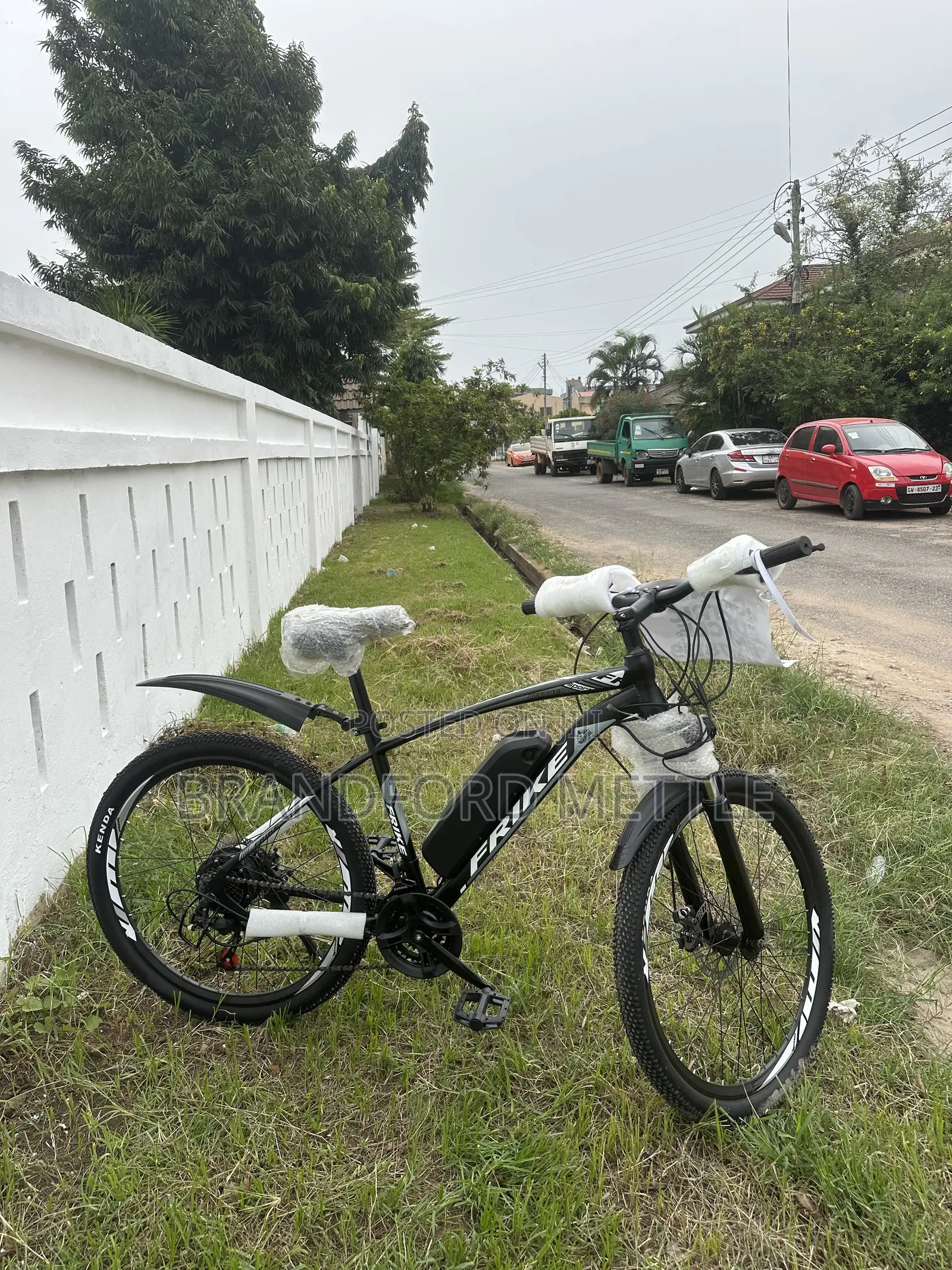 Electric Mountain Bike