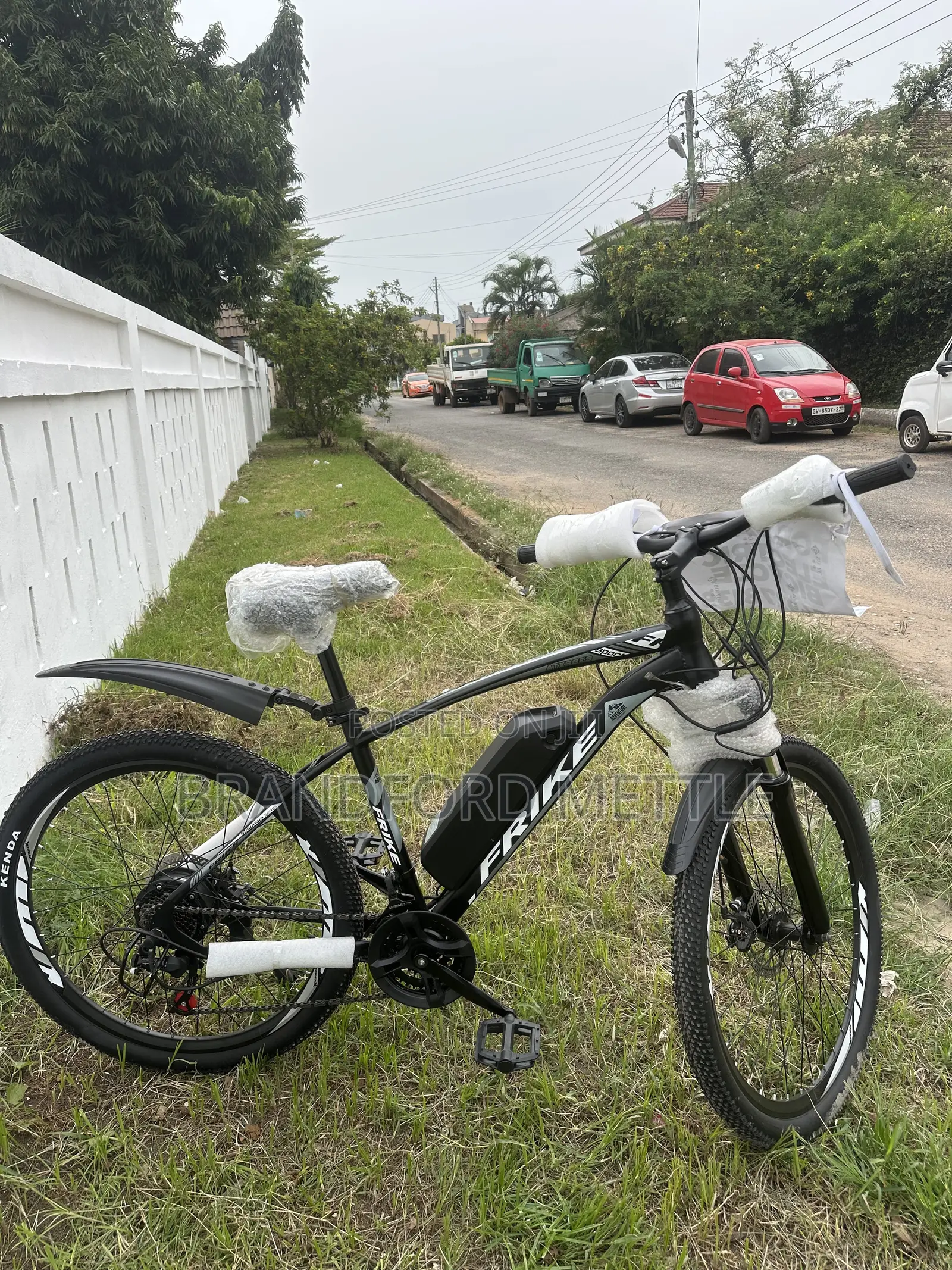 Electric Mountain Bike