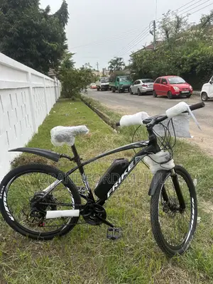 Electric Mountain Bike