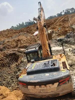 Excavators for Rent and Sale